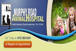 pet friendly vet in nashville